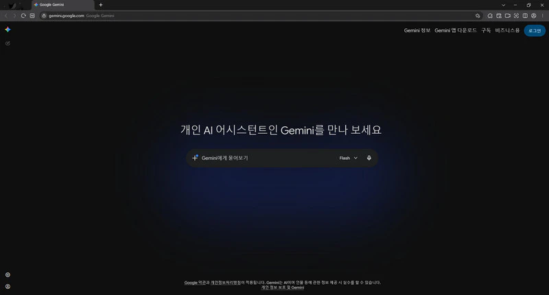 제미나이-오류